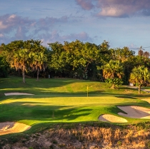 Golf courses in Puerto Vallarta: a paradise for golf enthusiasts