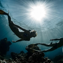 Learn Freediving in Puerto Vallarta