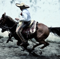 Dive into the Culture of Mexico through Your Timeshare