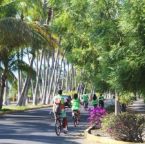 Bicycle Tours: The Best Way to Discover the Riviera Nayarit