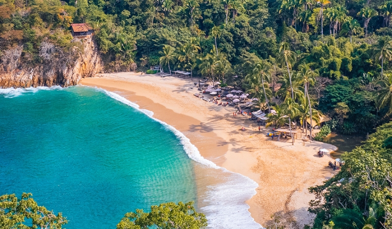 A Vegan Taste of Puerto Vallarta Mexico