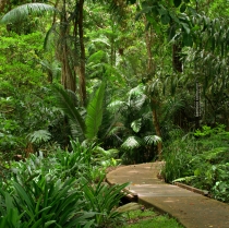A Must See: Puerto Vallarta Botanical Gardens